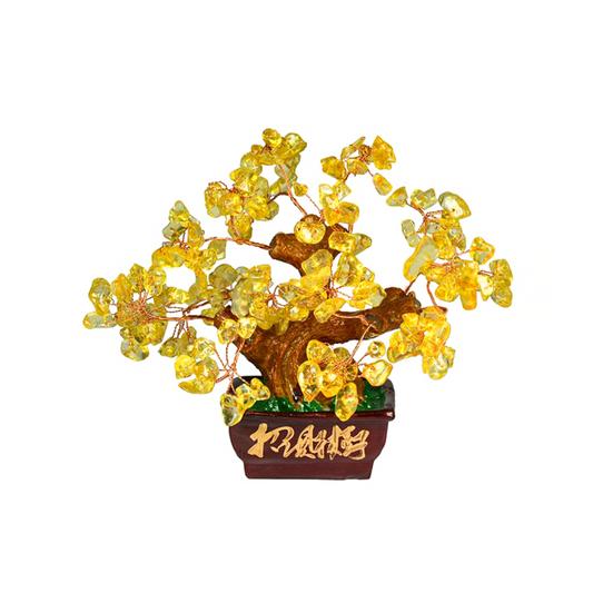 CITRINE TREE PLACE FOR GOOD LUCK